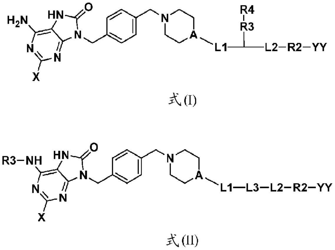 抗体-TLR激动剂缀合物、方法及其用途与流程