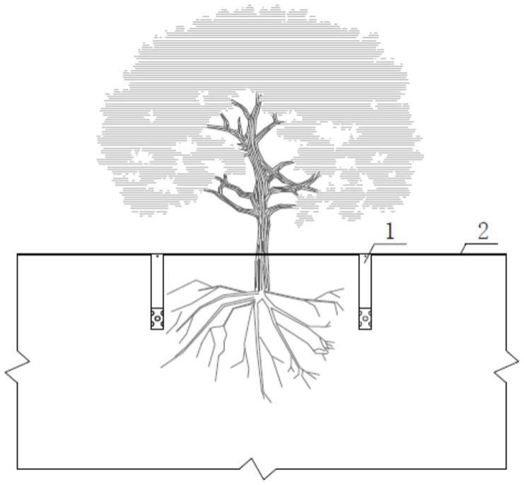 行道树节水渗灌系统的制作方法