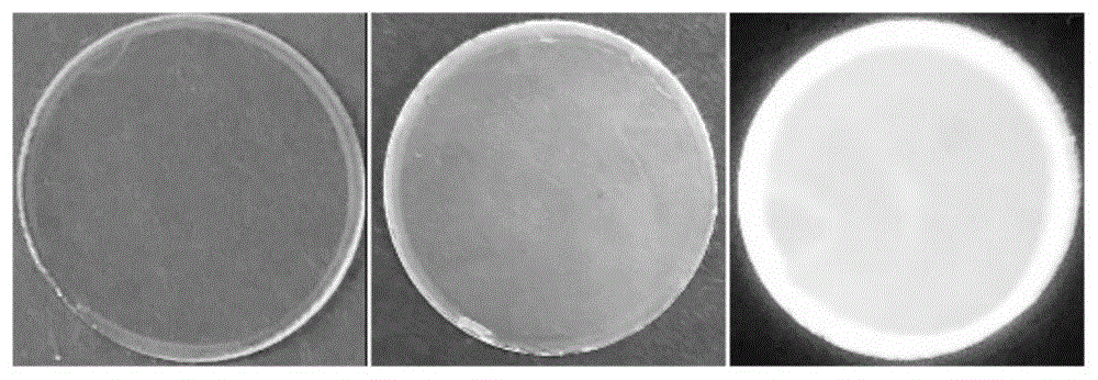 一种荧光有机-无机氧化硅液晶材料及其制备方法与流程