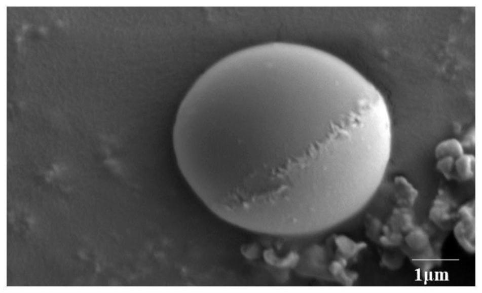 一种Janus微球及其制备方法和应用与流程