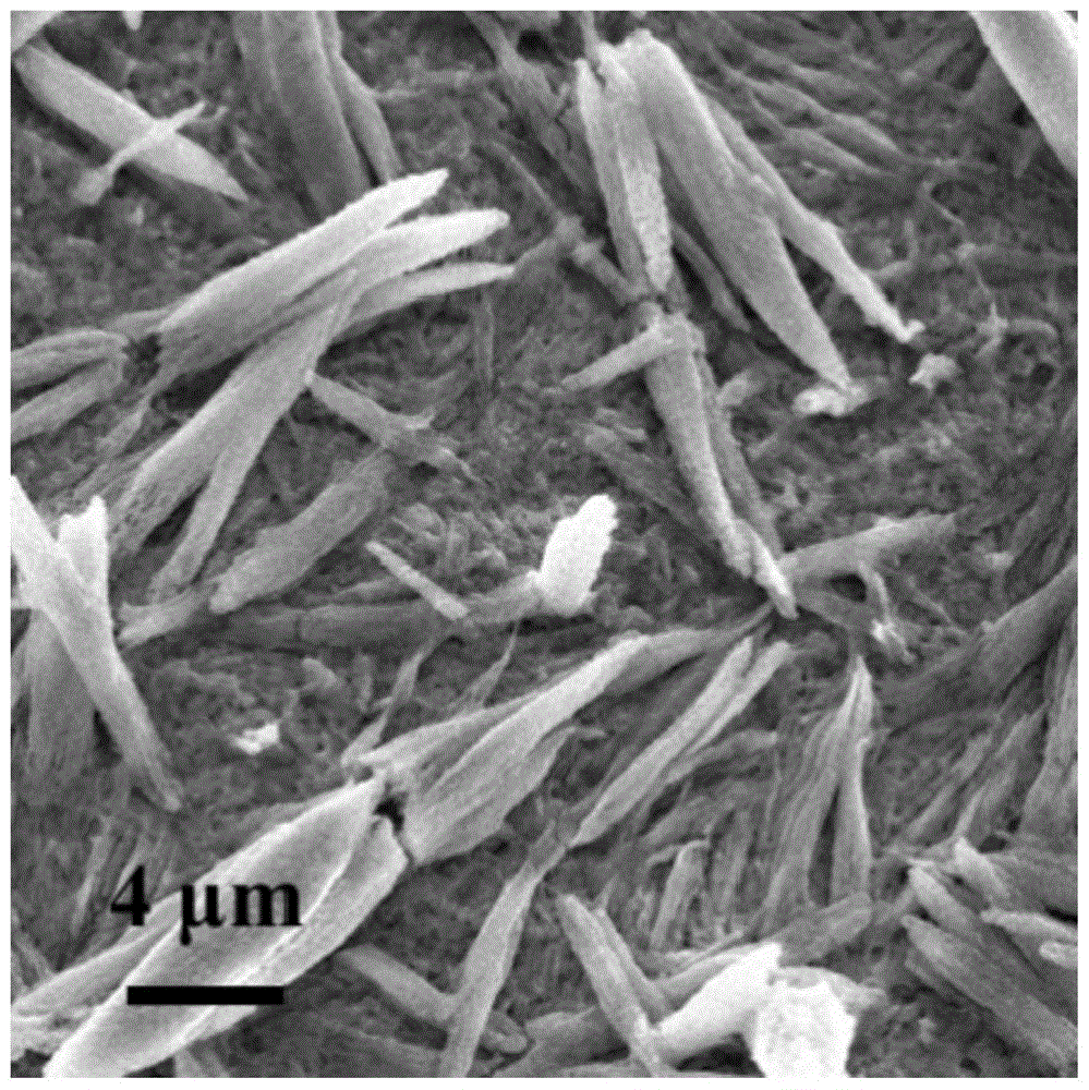 一种泡沫镍负载铂纳米粒子钴盐全解水电催化材料及其制备方法与流程