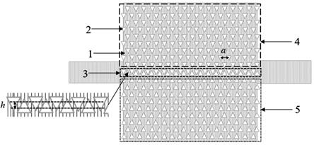 一种二维六方氮化硼能谷光子晶体单向光传输结构的制作方法