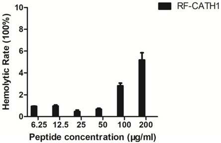 一种马铁菊头蝠来源抗菌肽RF-CATH1及其应用的制作方法