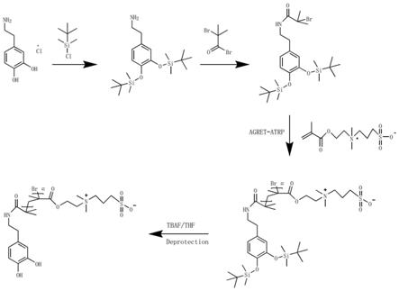 聚多巴胺-两性离子聚合物抗黏附涂层修饰方法及其应用与流程