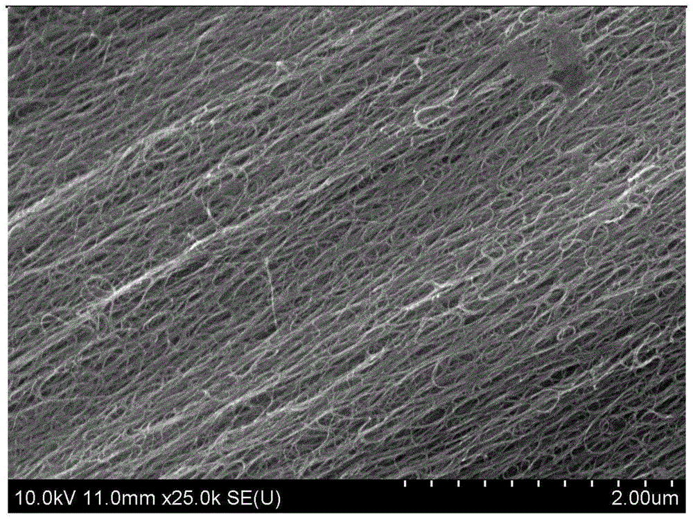 一种常压制备的碳纳米管基薄膜材料及其制备方法和应用与流程