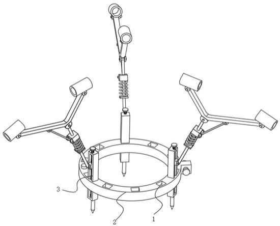 一种调节枣树骨干枝开张角度的防劈裂装置的制作方法