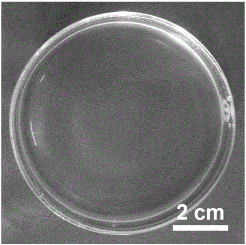 超薄透明纳米/微米结构自组装薄膜及其绿色制备方法与流程