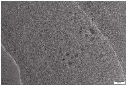 荧光碳纳米点及制备方法与其在细胞核靶向成像中的应用与流程