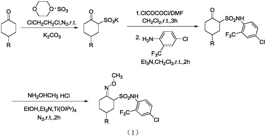 2-甲氧氨基-4-取代环己烷基磺酰胺化合物及其制备方法应用与流程