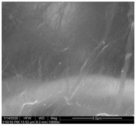 一种利用纳米纤维素制备二维类石墨烯碳纳米片的方法与流程