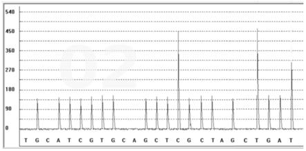 一种甲氨蝶呤代谢标志物的检测试剂盒及其检测方法和应用与流程