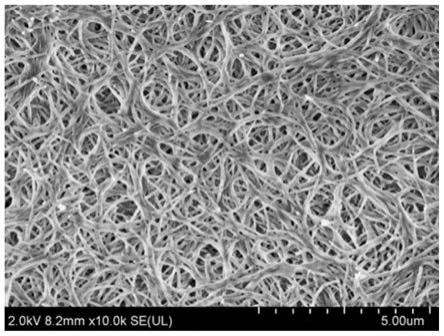 一种纤维网状氢氧化镁超疏水材料及其制备方法与流程