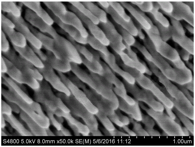 一种表面包覆有金膜的阵列型银纳米柱及其制备方法与流程