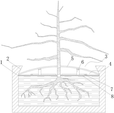 一种消落带灌木种植防冲刷的生态卡箍种植结构的制作方法