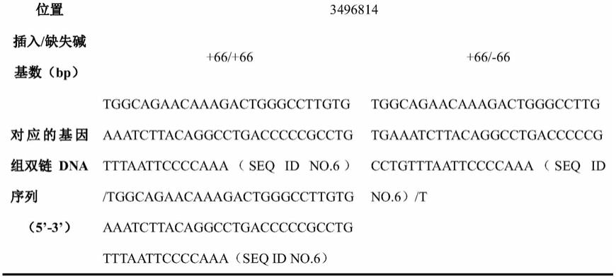 与大口黑鲈遗传性别鉴定相关的InDel分子标记及其应用的制作方法