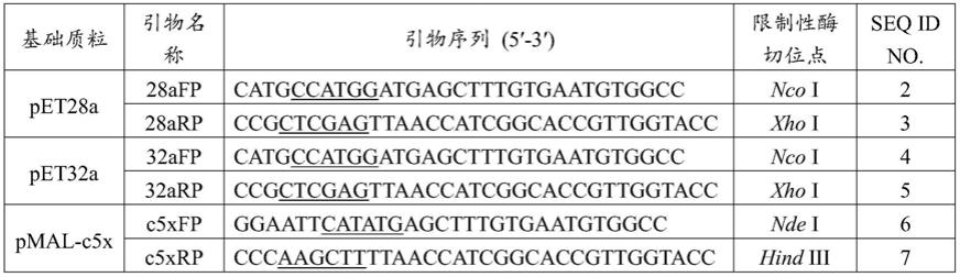一种密码子优化的基因、重组表达载体、重组蛋白及多克隆抗体的制备方法和应用与流程