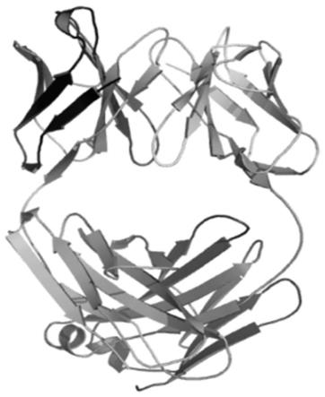 一种抗PD-1抗体及其晶体制备方法与流程
