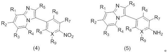 硝基呋喃类化合物、药物组合物及其制备方法和用途与流程