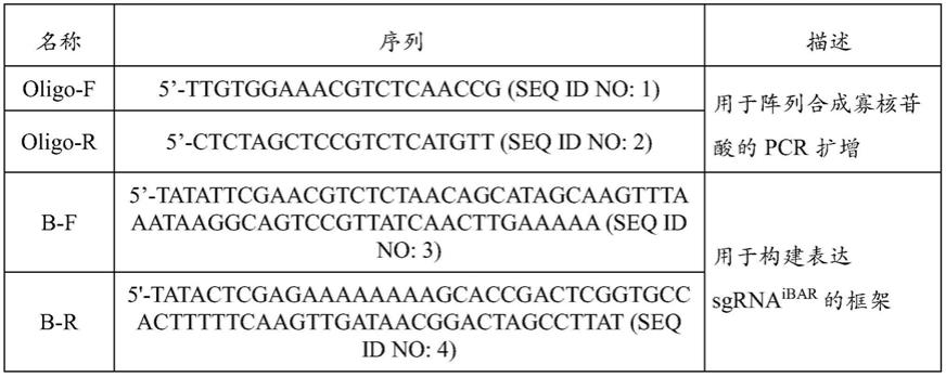 使用加标签的向导RNA构建体进行高效基因筛选的组合物和方法与流程