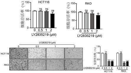 LY2835219在制备抗肿瘤转移药物中的应用的制作方法