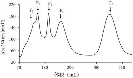 α-乳白蛋白小分子量水解物、其制备方法和降尿酸的应用与流程