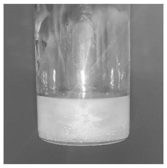 光固化型液态光子晶体色浆、制备方法及其在构建结构生色膜中的应用与流程
