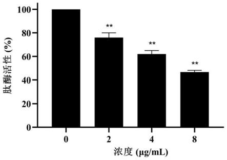 染料木苷在制备单增李斯特菌分选酶抑制剂中的应用的制作方法