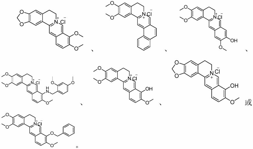 小檗碱类化合物在制备抗肿瘤药物中的应用的制作方法