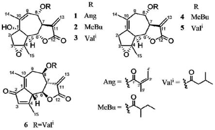 愈创木烷倍半萜内酯类化合物Artemvulactone及其制备方法和应用与流程
