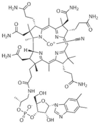 维生素B12在制备抗新型冠状病毒SARS-CoV-2药物中的用途的制作方法