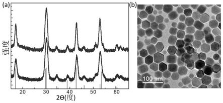 一种L精氨酸荧光检测纳米晶材料及其制备方法和用途与流程