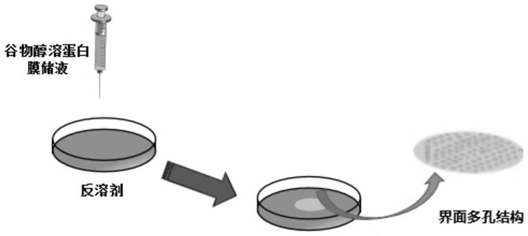 一种醇溶蛋白气-液界面自组装多孔膜及其制备的制作方法