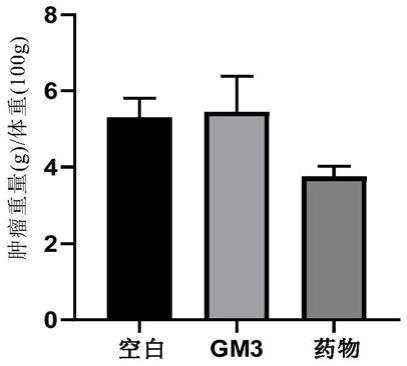 神经节苷脂GM3衍生物及其制备方法和应用与流程