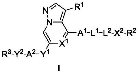 作为激酶抑制剂的杂环化合物、包括该杂环化合物的组合物、及其使用方法与流程