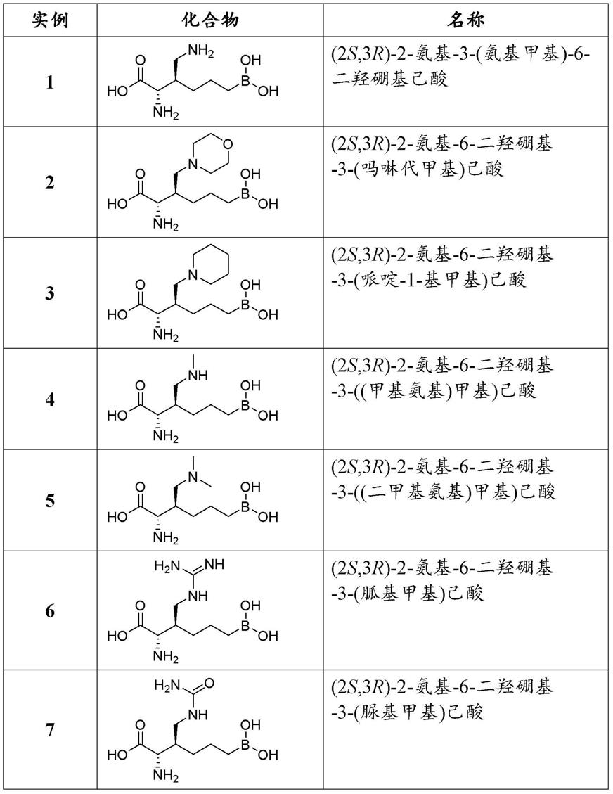 精氨酸酶抑制剂及其使用方法与流程
