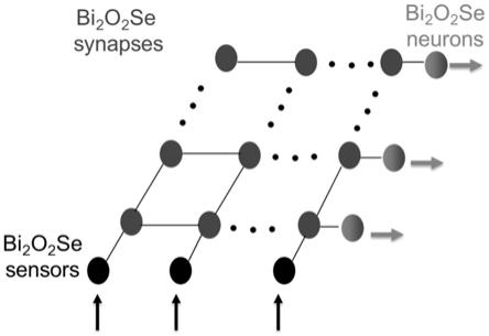 一种基于Bi2O2Se的多模态感存算一体系统及其实现方法与流程