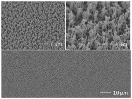 一种在聚合物材料表面制备纳米纤毛结构的方法与流程
