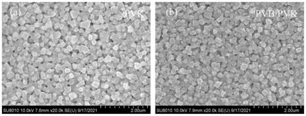 一种以二氧化锡为基底聚合物界面修饰的钙钛矿薄膜及其制备方法、太阳电池与流程
