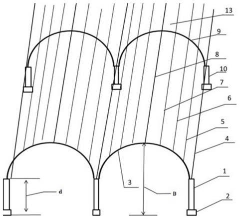 双弧形叶幕连拱葡萄架及葡萄栽培方法与流程