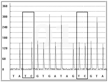 一种用于FVII基因多态性及甲基化联合检测的检测试剂盒及其检测方法和应用与流程