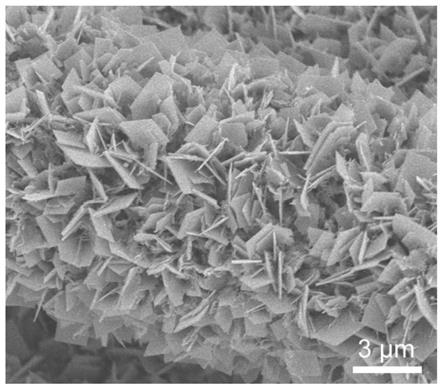 一种表面生长三维结构焦钒酸锌纳米片的碳布复合材料及其制备方法、可充电电池与流程