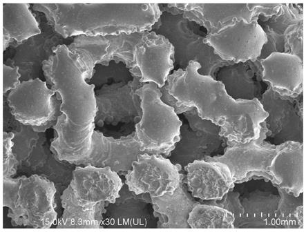一种锶/纳米氧化锌/羟基磷灰石复合涂层修饰的多孔钛合金材料的制备方法及其应用与流程