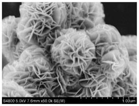 一种控制Birnessite型二氧化锰纳米花尺寸的方法与流程