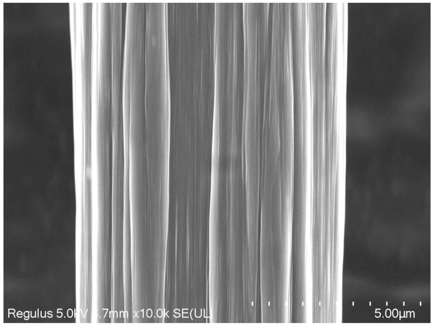 纳米银/碳膜/碳纤维的制备及其应用的制作方法