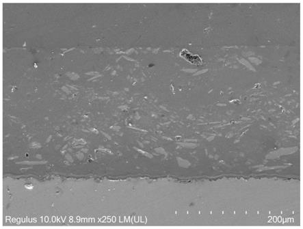 一种聚合物-贻贝壳粉复合抗生物污损涂层及其制备方法与流程