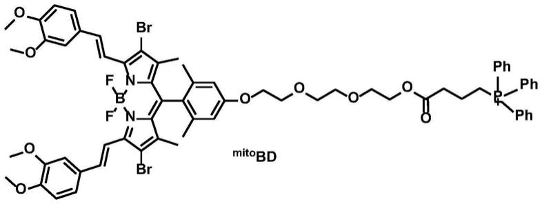 一种基于氟硼二吡咯的线粒体靶向型光敏剂的制备及应用的制作方法