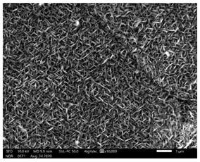 基于腐蚀非晶合金阳极材料进行电沉积制备纳米材料的方法与流程