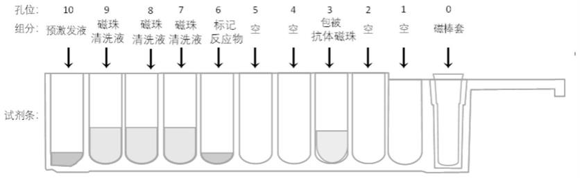 一种白细胞介素-6的检测试剂条及其应用的制作方法