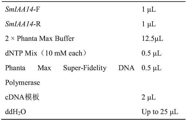 同时控制丹参根系形态和丹参酮含量的基因SmIAA14及其应用的制作方法