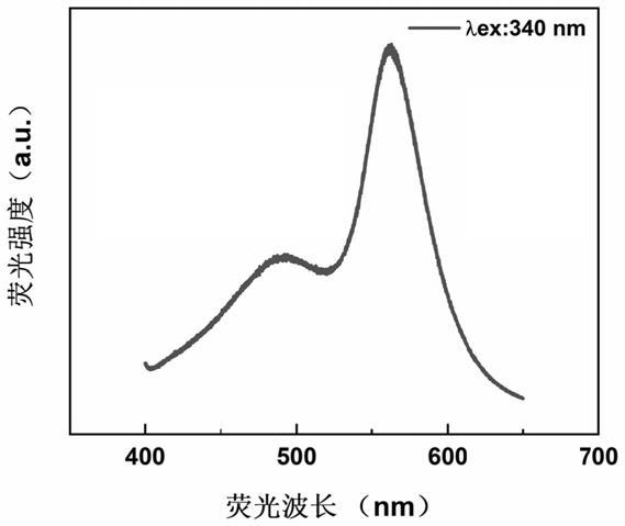 一种硫离子的荧光检测方法及其应用与流程